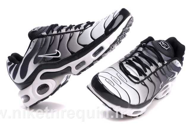 nike tn 2010 meilleurs populaires grise (2).JPG